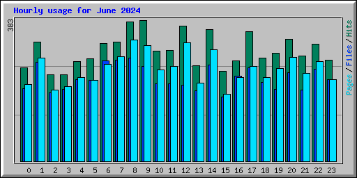 Hourly usage for June 2024